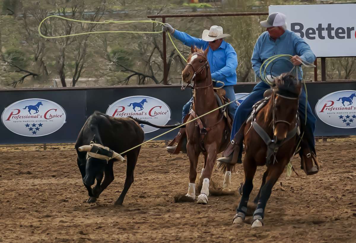 Competition Roping